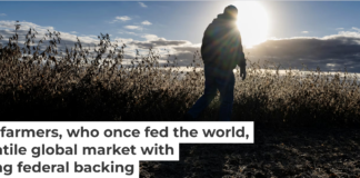 American farmers face a changing future for their businesses. Roberto Schmidt/AFP via Getty Images